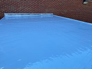 Liquid-Applied Roof Systems1