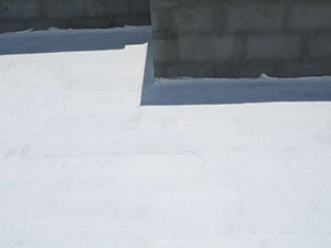 Liquid Applied Roof Systems1
