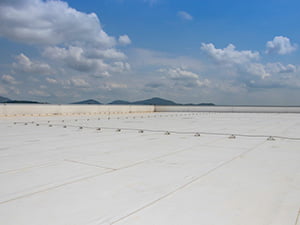 Commercial Roof Inspection1